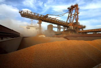 Exportaes de Soja e Milho do Brasil Registram Crescimento Significativo em Maro