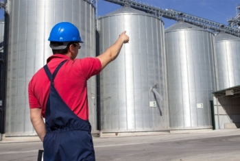 Agronegcio impulsiona mercado de trabalho e emprega 28,2 milhes de pessoas em 2024