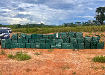 Foras de segurana aumentam em 104% as apreenses de drogas e geram prejuzo de R$ 209 milhes s faces em quatro meses