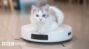 Alguns donos de gatos diriam que o aspirador de p robtico j brinca com seus amigos felinos, mas talvez sem querer