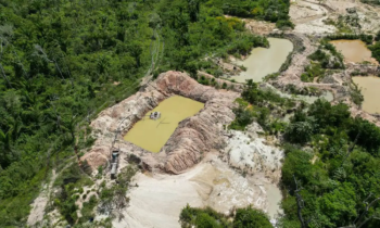 Terra Indgena Kayap no Par