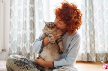 Cuidados com os gatos vo alm de oferecer comida e abrigo