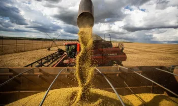 Produ��o agr�cola deve chegar a 269,3 milh�es de toneladas, diz Conab
