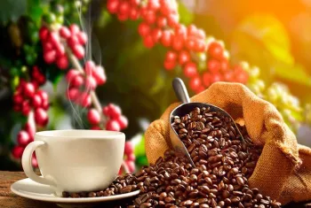 Safras aponta atraso na comercializa��o antecipada de caf� 2023/24 do Brasil