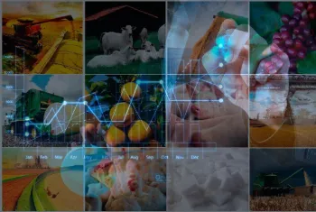 PIB da agropecu�ria deve crescer 5%