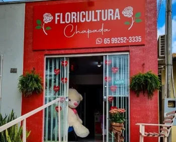 Chapada Floricultura:  Cultivando emo��es e celebrando momentos especiais