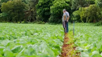 Nova poltica industrial prev R$ 20 bi para mecanizao da agricultura familiar