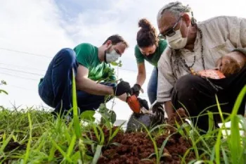 Projeto Verde Novo lan�a servi�o 'ZapMudas' para ampliar plantio de �rvores