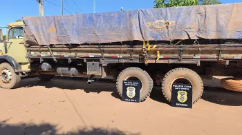 Polcia Civil prende trs por transporte ilegal de madeira e trfico de drogas na regio de fronteira