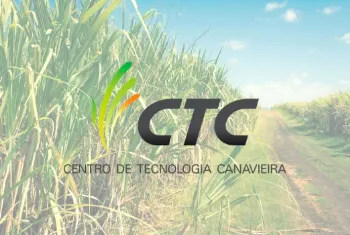 Avanos no Controle da Broca da Cana-de-Acar: Impactos e Solues