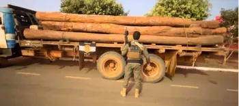 Pol�cia Civil intensifica a��es de combate aos crimes ambientais e apreende madeira ilegal no Nort�o