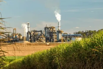 Mercado de Etanol na Índia: Expectativas e Impactos na Produção de Açúcar