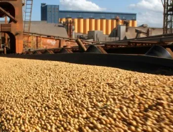 Mato Grosso tem 36 cidades entre as 100 mais ricas do agronegcio brasileiro