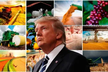 Mercado de Gros: Impactos do Ano Novo Lunar e Expectativas com a Nova Gesto Trump