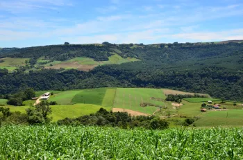 Santa Catarina ganha um retrato in�dito do agroneg�cio com o lan�amento do Mapa do Agro