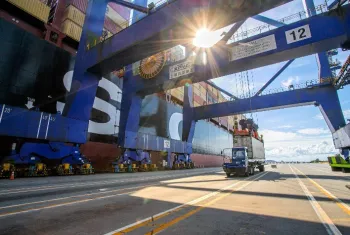 Foto: APPA - Paranagu�