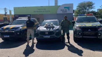 Gefron apreende drogas e ve�culo avaliados em R$ 135 mil em V�rzea Grande