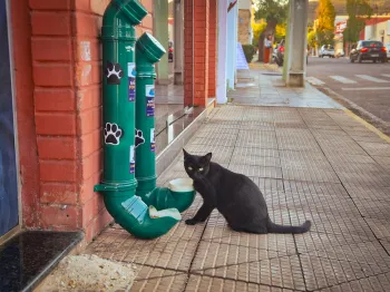 Prefeitura instala comedouros e bebedouros para incentivar cuidado com animais de rua em Barra do Gar�as