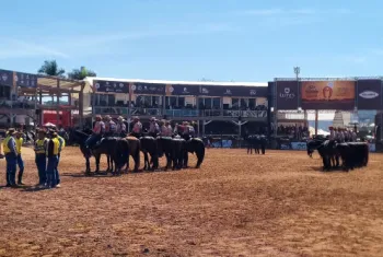 De onde vem a energia para o mangalarga marchador vencer provas longas?