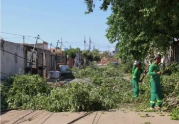 Vendaval em VG causa estragos, destelha 100 casas e mobiliza for�a-tarefa da prefeitura