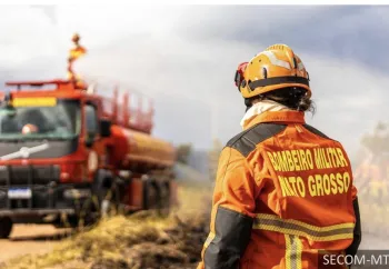 Corpo de Bombeiros combate 13 inc�ndios florestais nesta segunda-feira (29)