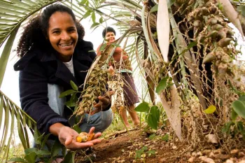 Mulheres no campo somam 6 milhes e movimentam a economia brasileira