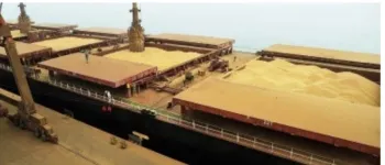 Soja: Portos t�m pre�os de R$ 138 a R$ 142/sc e Brasil vai registrando semana de novos neg�cios