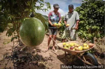 Governo de MT lan�a programa inovador para fortalecimento da agricultura familiar em parceria com Banco Mundial