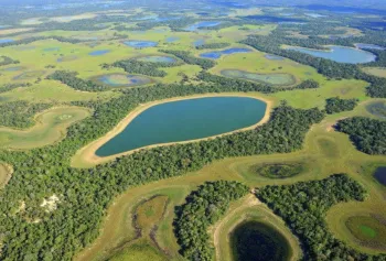 Qualidade da gua no Pantanal est decrescendo", afirma doutora em Ecologia