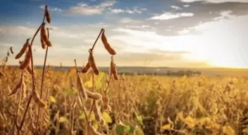 �ndices de Wall Street fecham quase est�veis com impulso de apostas de corte do Fed, mas pressionados pela Amazon