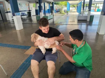 Cuiab� registra aumento da leishmaniose e refor�a alerta contra a raiva