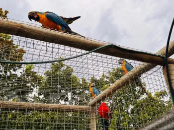 Guarda de animais silvestres permanece aberta durante todo o ano, entenda
