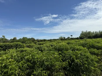 Expedi��o rota do caf� leva ci�ncia e inova��o diretamente ao produtor de pequena escala