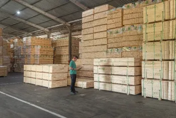 Tarifa�o dos EUA derruba exporta��es do setor florestal do Paran� em 2025