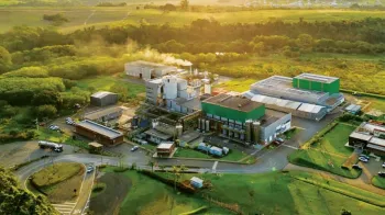 Nova levedura � capaz de aumentar produ��o de etanol de milho em 9%