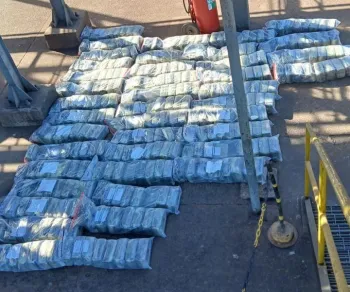 Pol�cia Civil incinera mais de 1 tonelada de supermaconha em Alto Araguaia