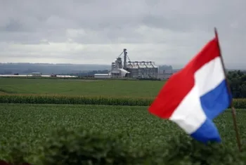Paraguai registra safra hist�rica de soja e pode superar 12 milh�es de toneladas em 2026