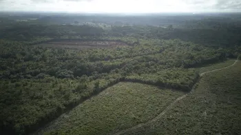 Mineradora canadense desmata �reas e avan�a sobre territ�rio reivindicado pelo povo Mura no Amazonas
