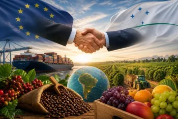 Acordo Mercosul-UE entra em vigor e abre mercado para agro brasileiro, com desafios distintos para caf� e frutas