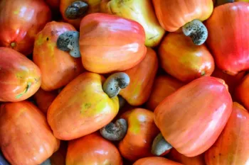 Caju une sabor, sa�de e versatilidade na alimenta��o di�ria