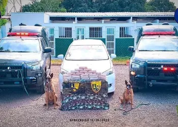 Gefron apreende 26 kg de pasta base de coca�na e causa preju�zo de R$ 500 mil �s fac��es criminosas