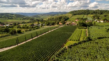 Vale dos Vinhedos � o destino do  vinho brasileiro mais premiado no 13� Brazil Wine Challenge