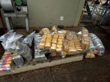 Pol�cia Civil incinera 400 quilos de entorpecentes apreendidos na regi�o de Alto Gar�as