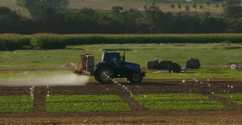Funda��o Rio Verde divulga pesquisa sobre manejo e intervalo de seguran�a de herbicidas na soja