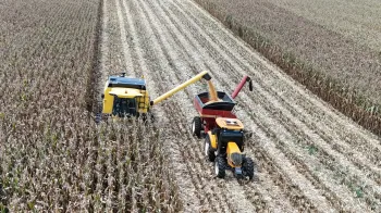Agricultor paranaense triplica a produtividade do milho e estabelece recorde nacional