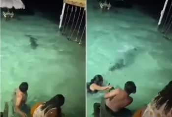 crocodilo-resort.jpg