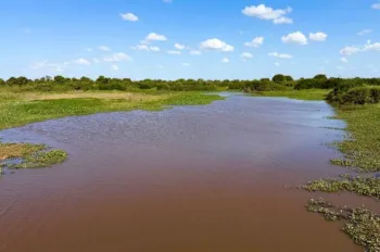 Imagem ilustrativa do Pantanal