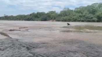 Policial militar realiza resgate em rio em Cuiab�