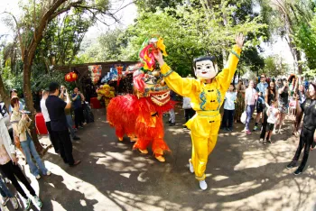 CHINA E BRASIL CAMINHAM JUNTOS: FESTIVAL CHONGYANG