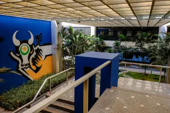 STF  no combate � pandemia